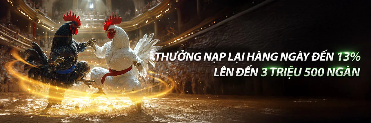 Hình ảnh giới thiệu Vin777vin, nền tảng cá cược an toàn và sứ mệnh